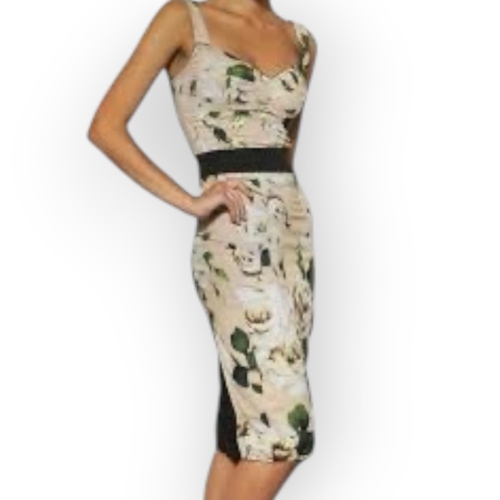 Dolce and Gabbana Floral Print Fitted Dress Size 42 US 8 Size Med Made In Italy